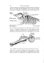 giornale/MIL0000417/1920/unico/00000034