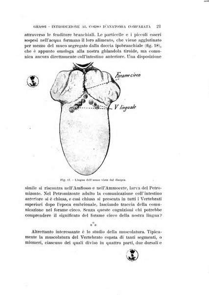 Rivista di biologia