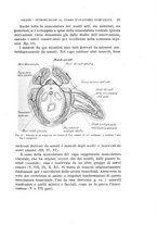 giornale/MIL0000417/1920/unico/00000039