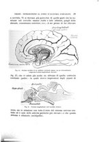 giornale/MIL0000417/1920/unico/00000045