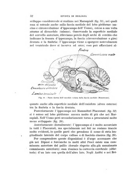 Rivista di biologia