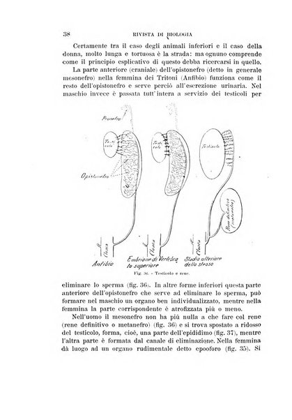 Rivista di biologia