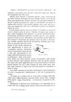 giornale/MIL0000417/1920/unico/00000065