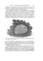 giornale/MIL0000417/1920/unico/00000207