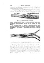 giornale/MIL0000417/1920/unico/00000390