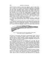 giornale/MIL0000417/1920/unico/00000414