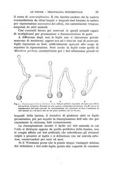 Rivista di biologia