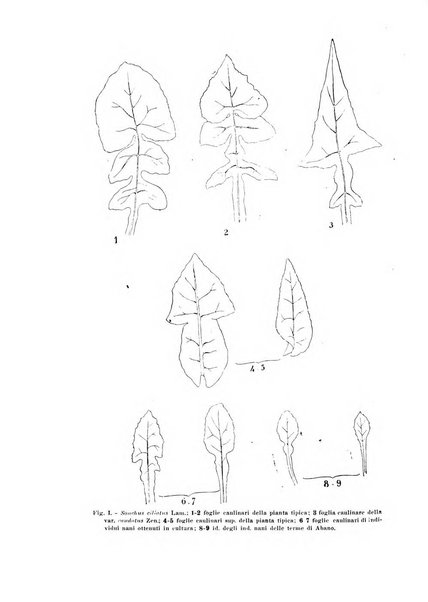 Rivista di biologia