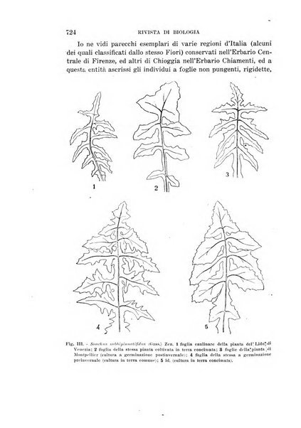 Rivista di biologia