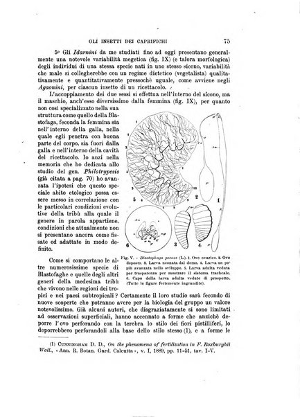 Rivista di biologia