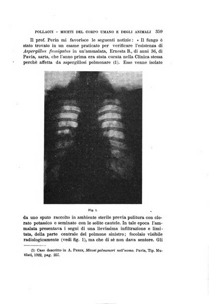 Rivista di biologia