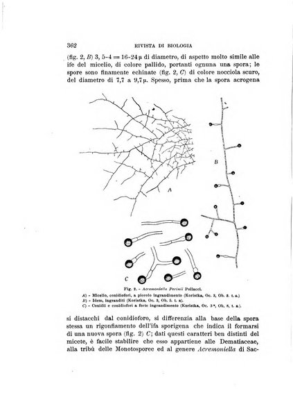 Rivista di biologia