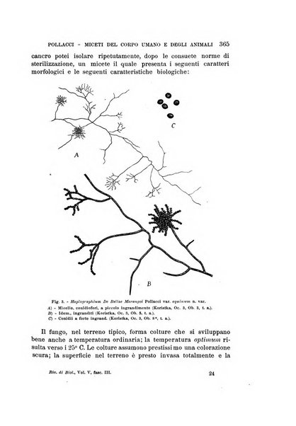 Rivista di biologia