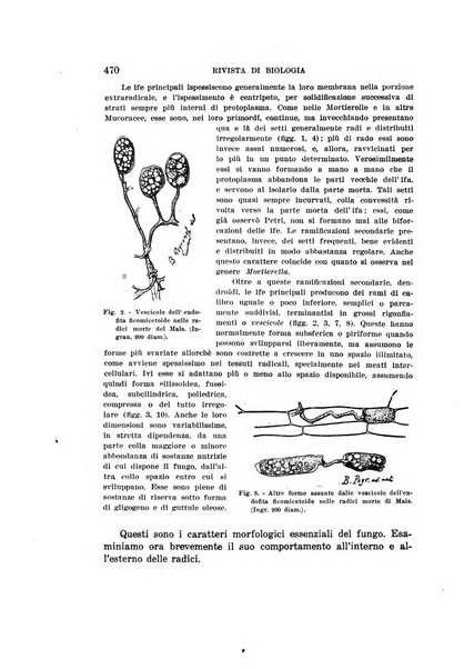 Rivista di biologia