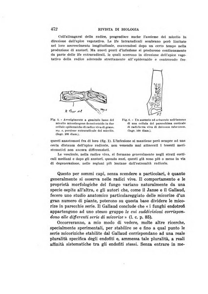 Rivista di biologia