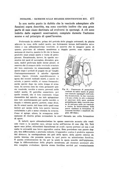 Rivista di biologia