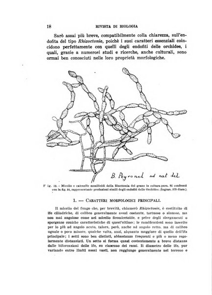 Rivista di biologia