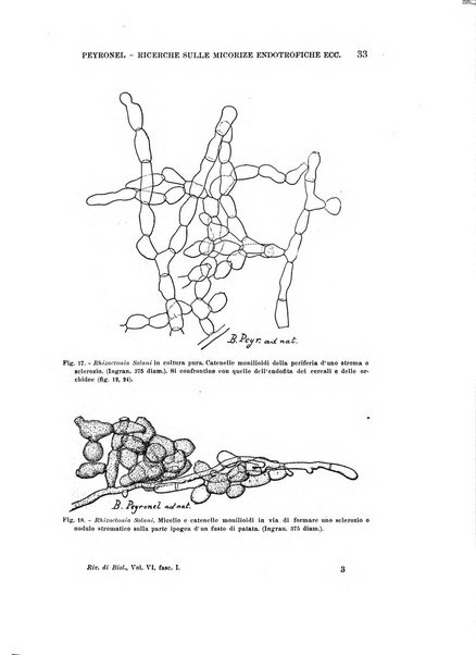 Rivista di biologia