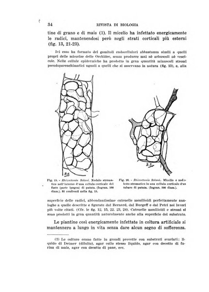 Rivista di biologia