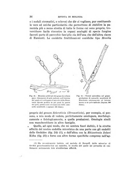 Rivista di biologia