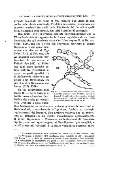 Rivista di biologia