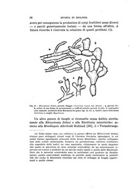 Rivista di biologia