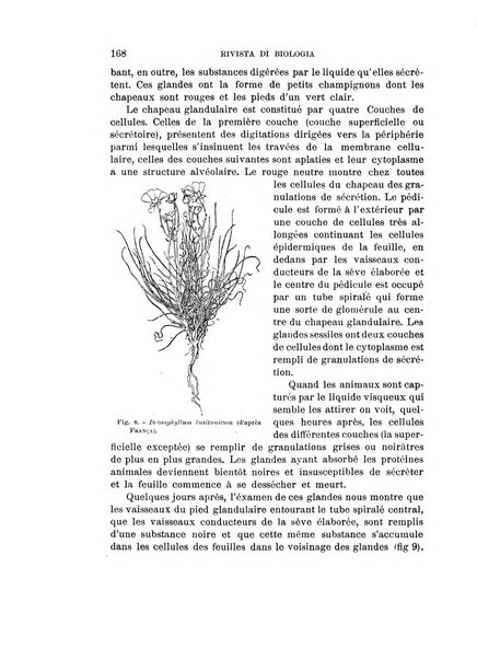 Rivista di biologia