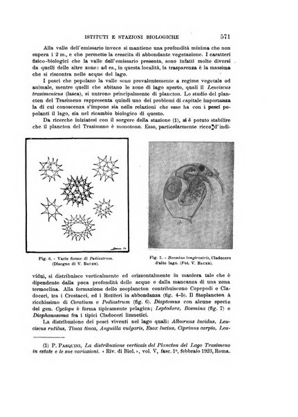 Rivista di biologia