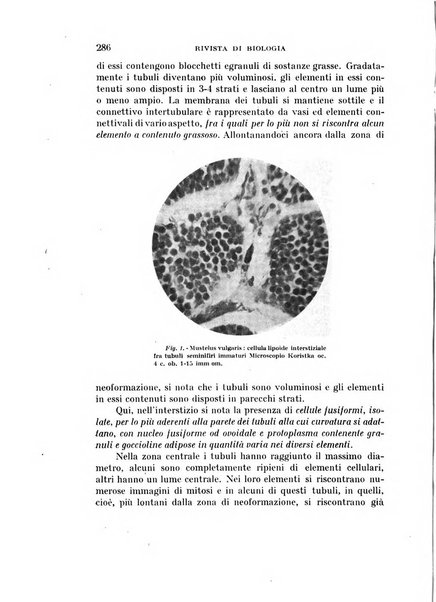 Rivista di biologia