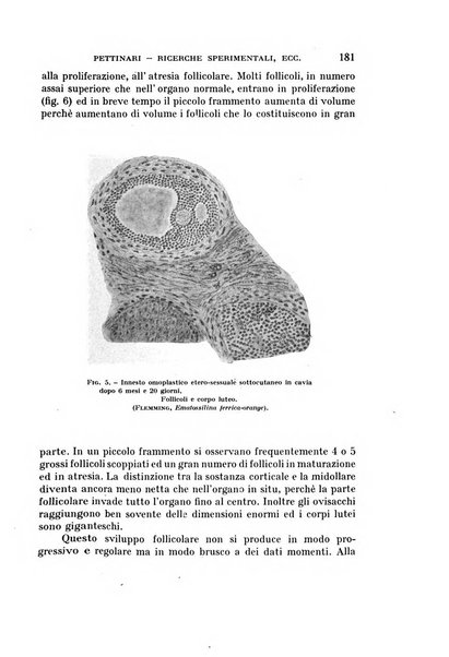 Rivista di biologia