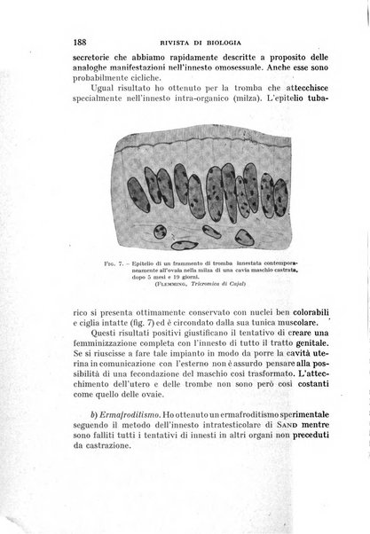 Rivista di biologia