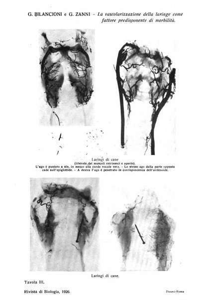 Rivista di biologia