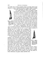 giornale/MIL0000417/1927/unico/00000200