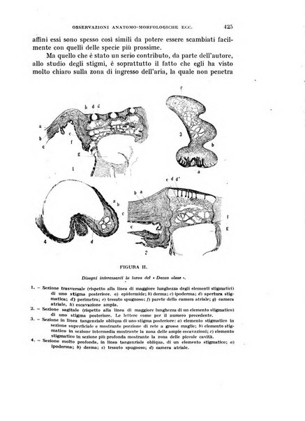 Rivista di biologia