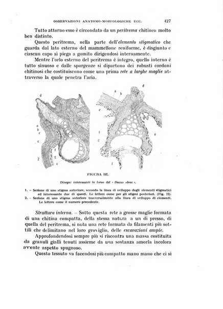 Rivista di biologia