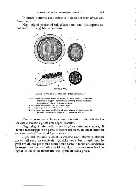 Rivista di biologia