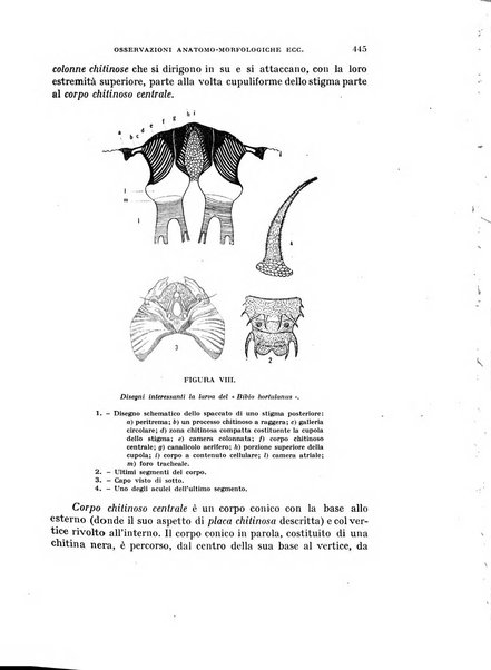 Rivista di biologia