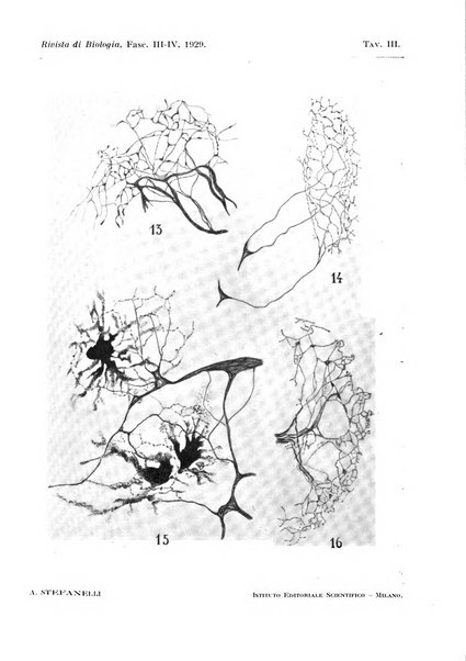 Rivista di biologia