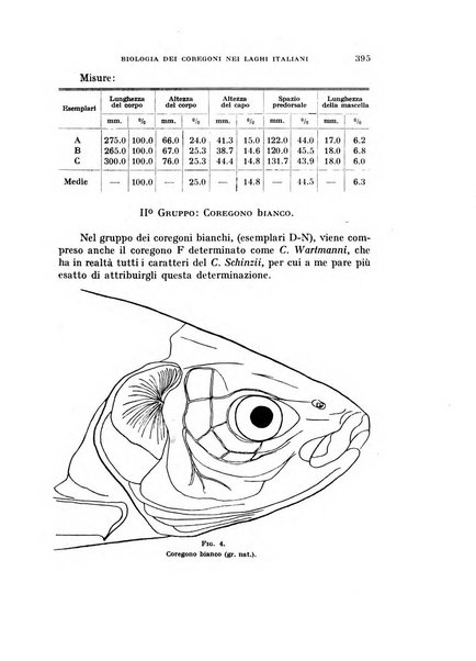 Rivista di biologia