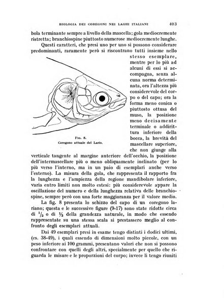 Rivista di biologia