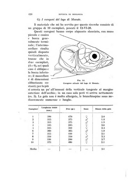 Rivista di biologia