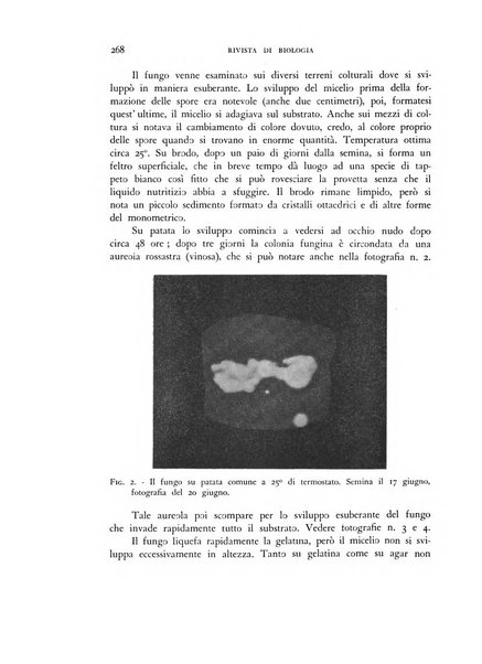 Rivista di biologia