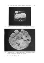 giornale/MIL0000417/1934/unico/00000307