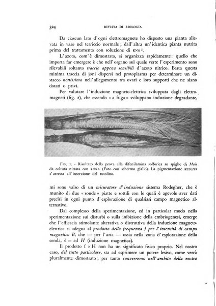 Rivista di biologia