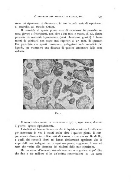 Rivista di biologia