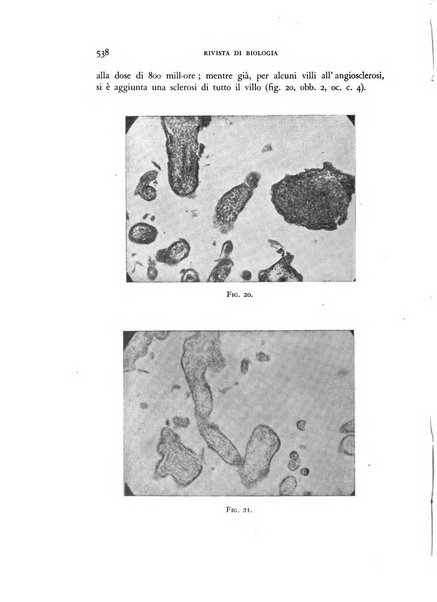 Rivista di biologia