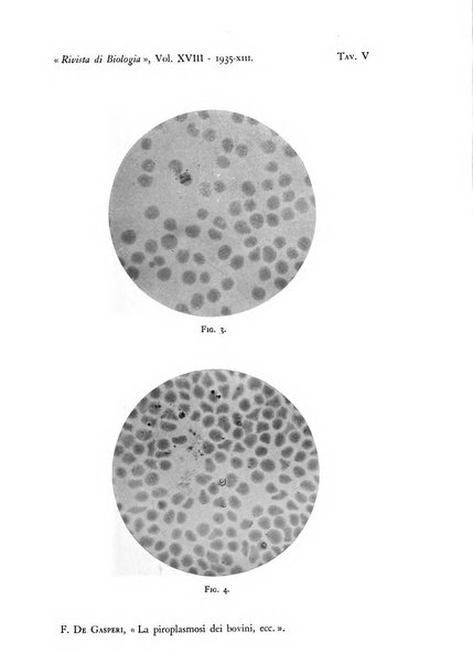 Rivista di biologia