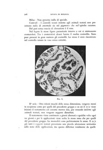 Rivista di biologia