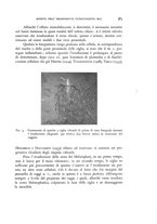 giornale/MIL0000417/1935/unico/00000433