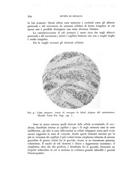 Rivista di biologia